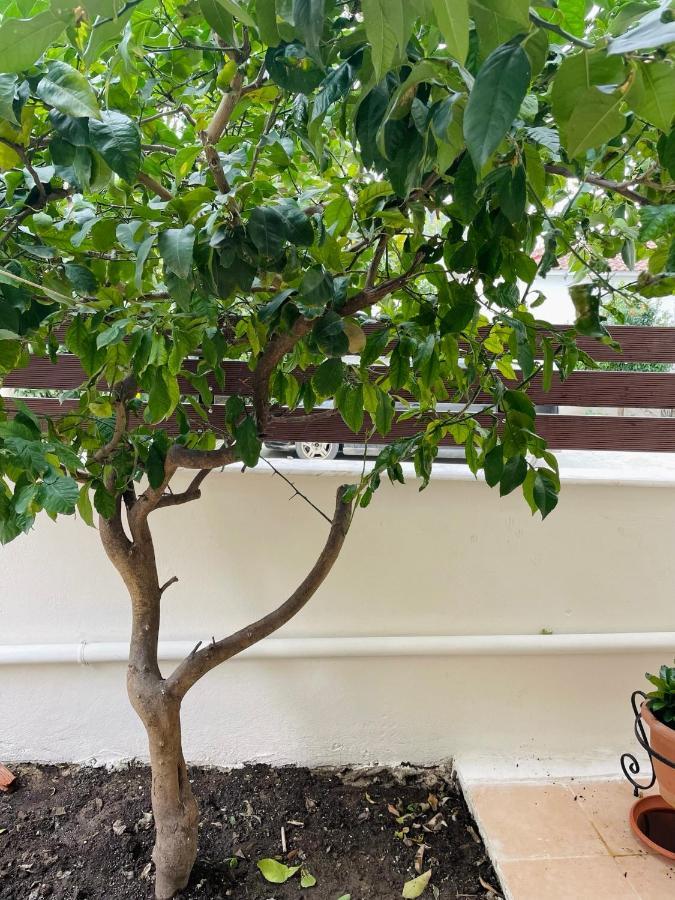 Themarilenehouse Apartment Volos Ngoại thất bức ảnh